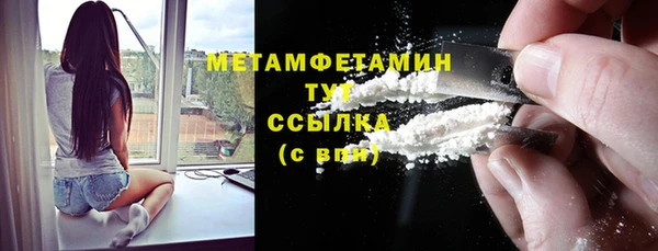 индика Арсеньев