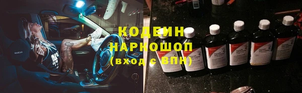индика Арсеньев