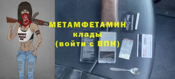 индика Арсеньев