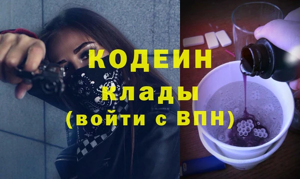 индика Арсеньев