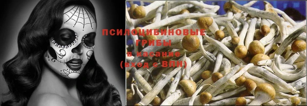 индика Арсеньев