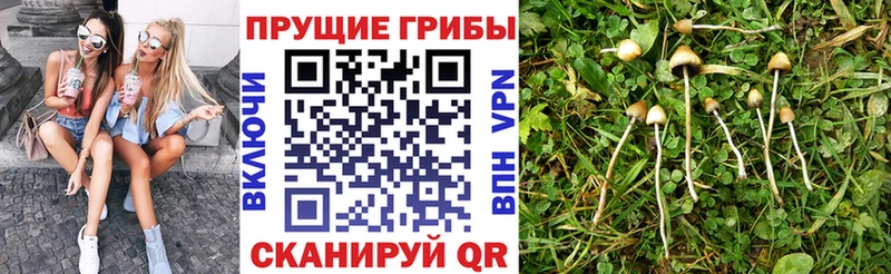 Галлюциногенные грибы мухоморы  наркотики  blacksprut вход  Салаир 